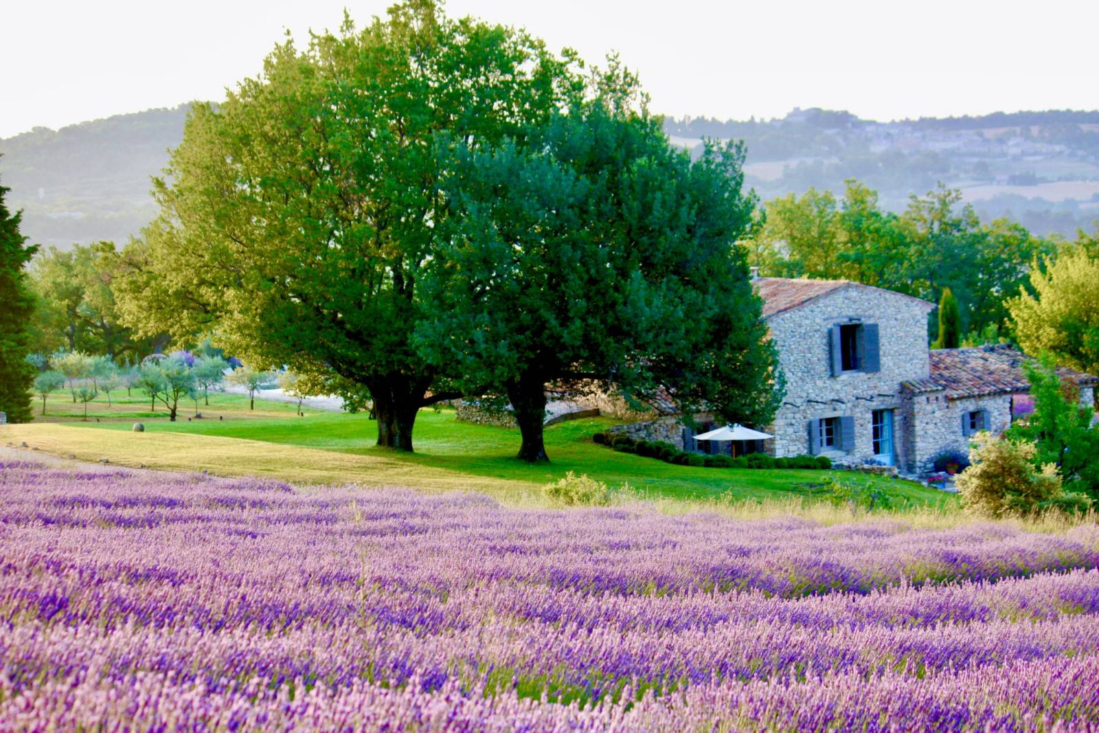 Location au cœur du Luberon, authentique Mas Provençal entouré de lavandes et oliviers    