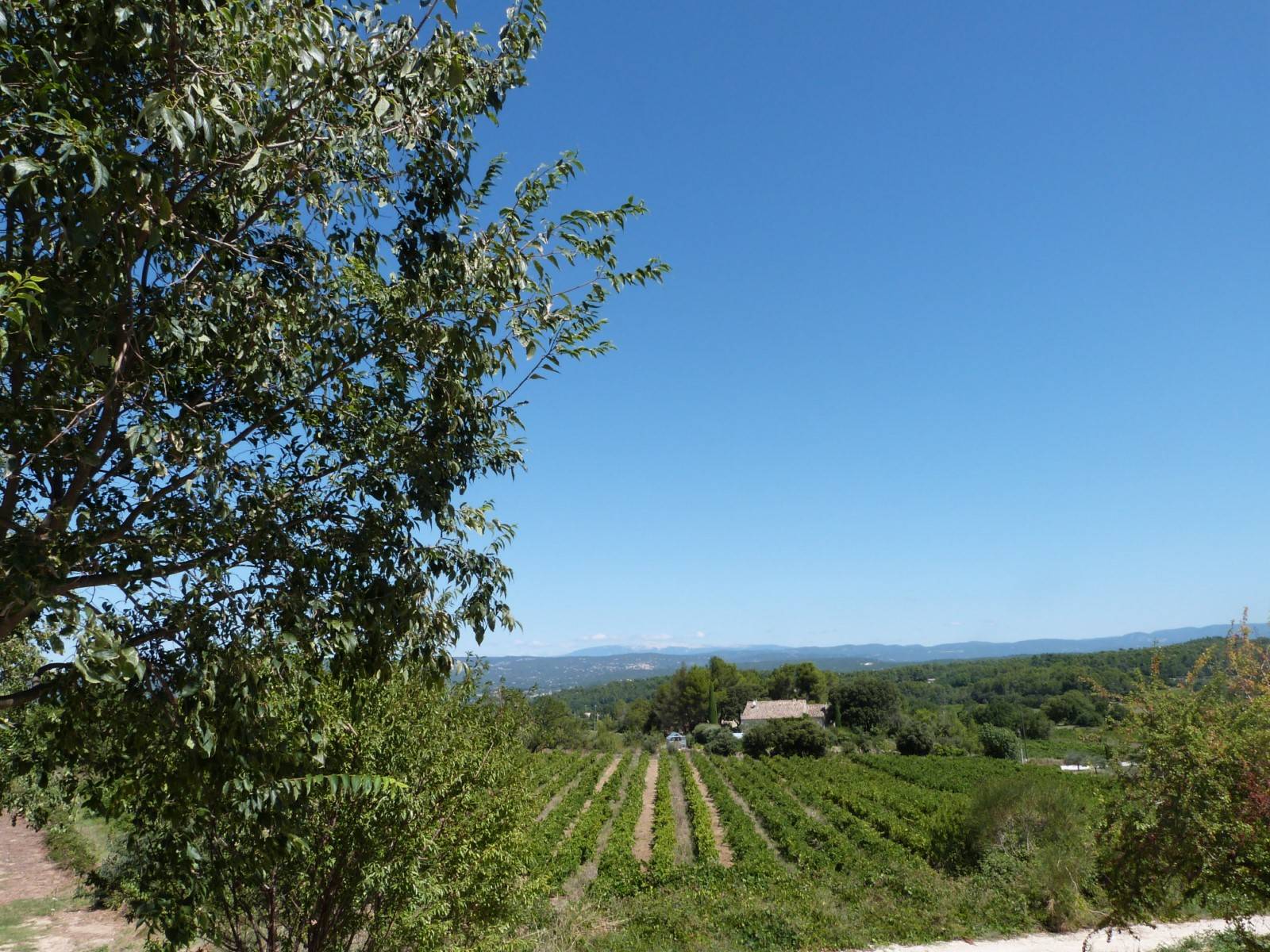Location au cœur du Luberon entre oliviers et vignes, belle propriété de vacances avec vue panoramique sur le Luberon et les Monts de Vaucluse   