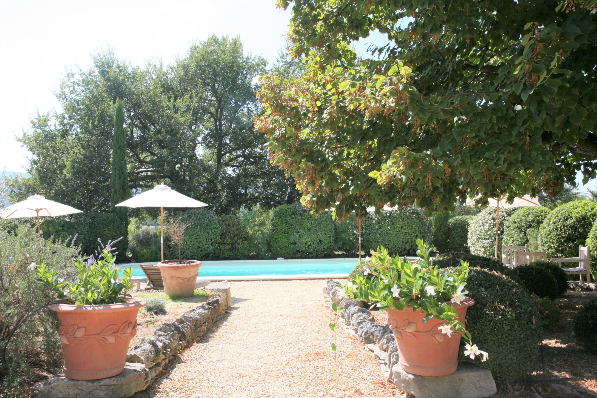 Dans le bas de Gordes, Mas Provençal à louer pour vos vacances.   