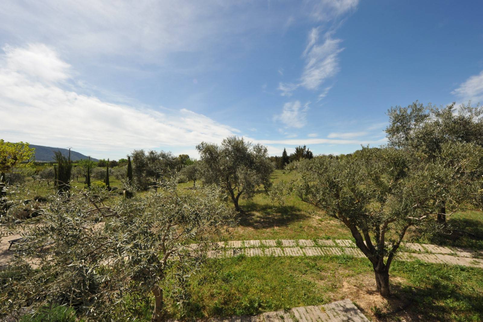 Location authentique Mas Provençal entouré de vignes et de lavandes à Gordes   