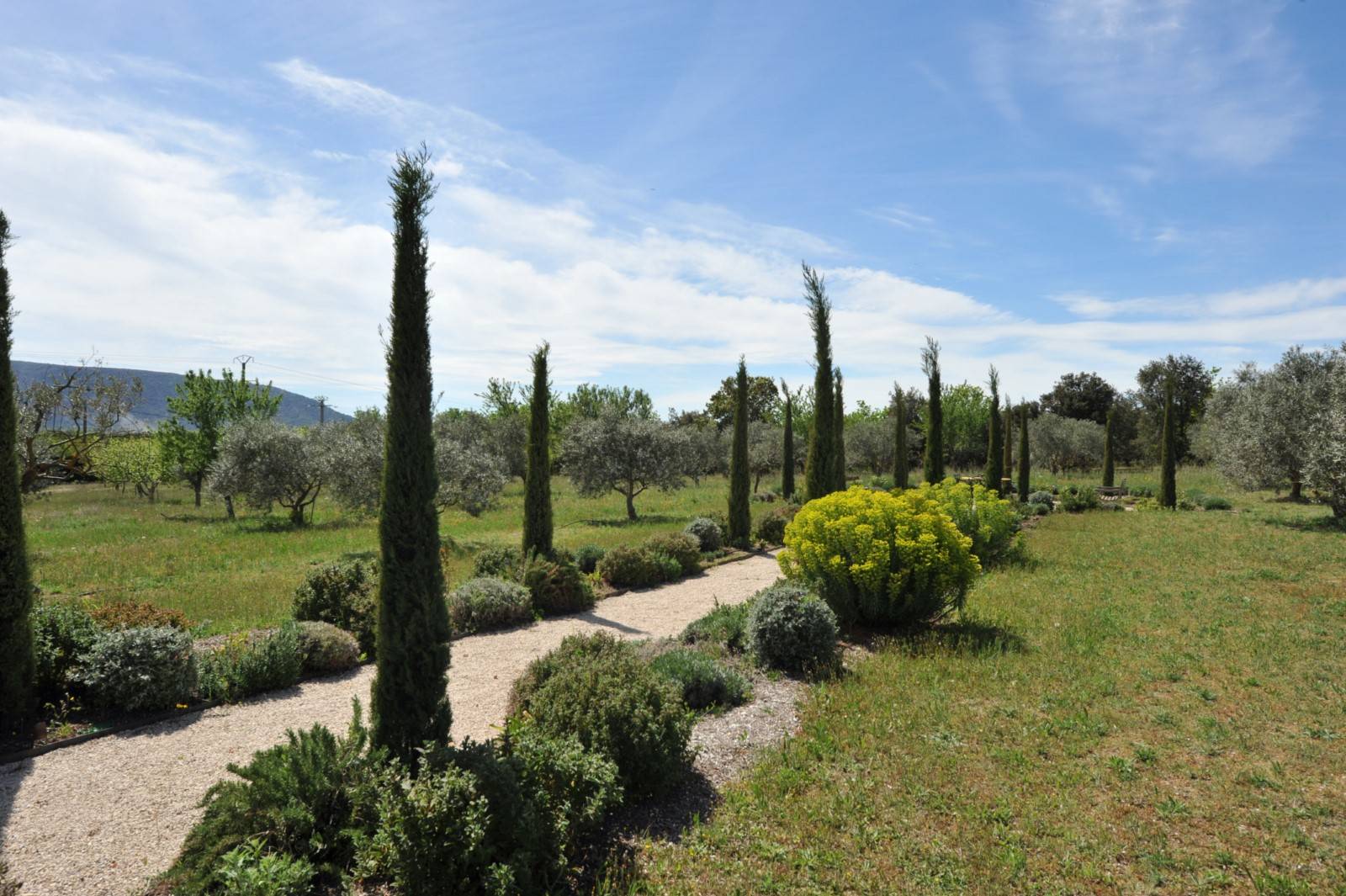 Location authentique Mas Provençal entouré de vignes et de lavandes à Gordes   