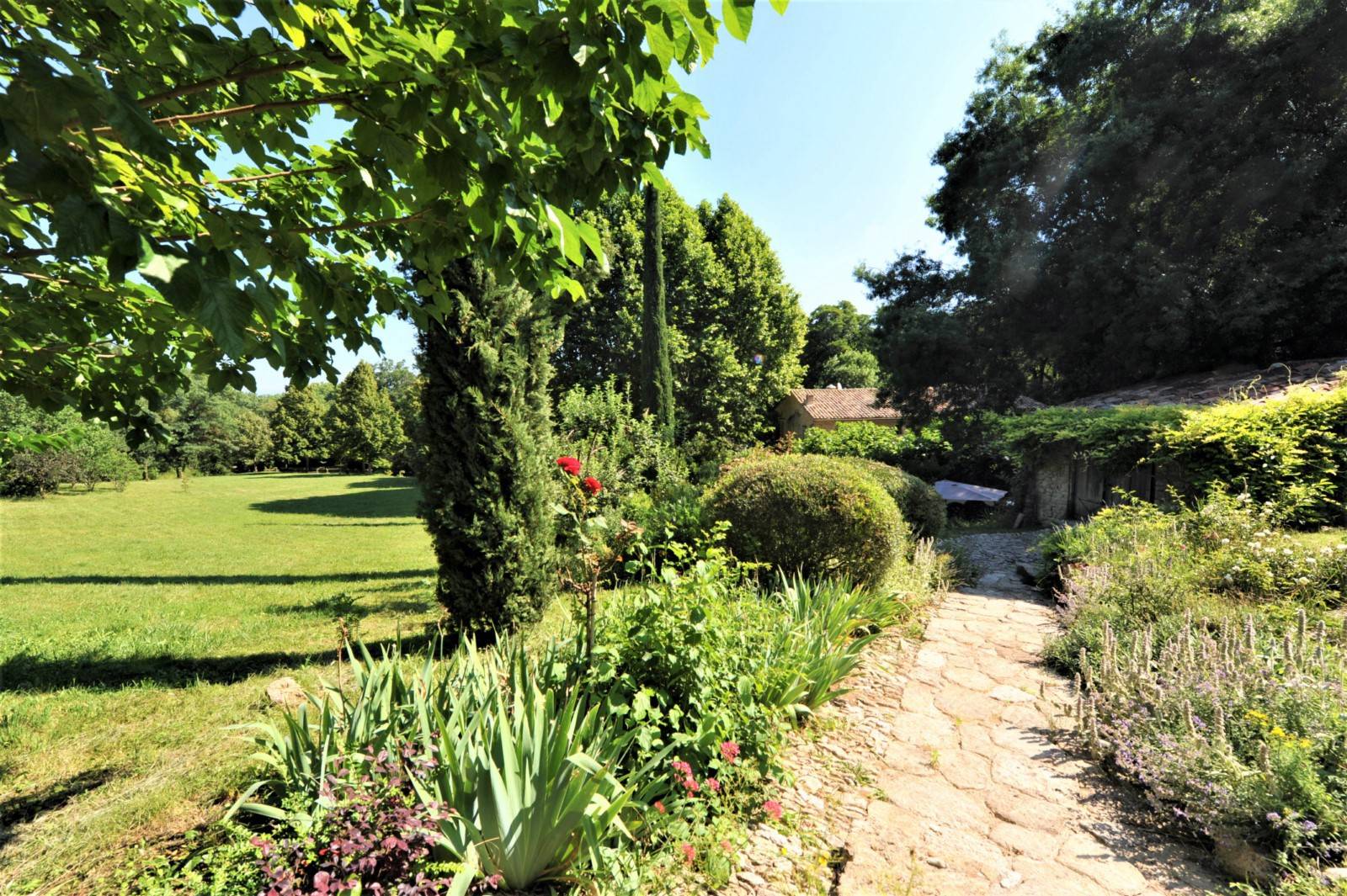 Location Mas traditionnel Provençal avec parc de 11 hectares, piscine et pool house    