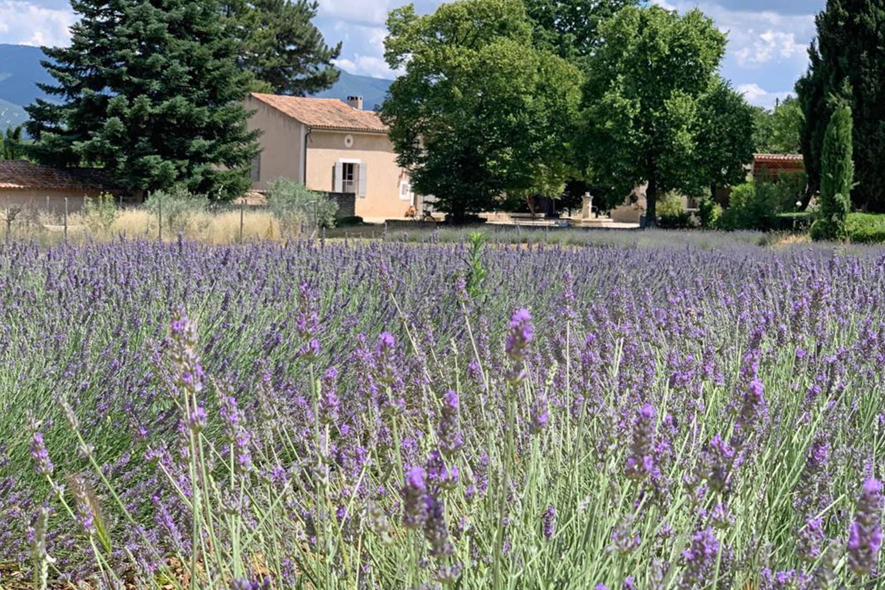 Location ancienne ferme rénovée avec piscine chauffée   