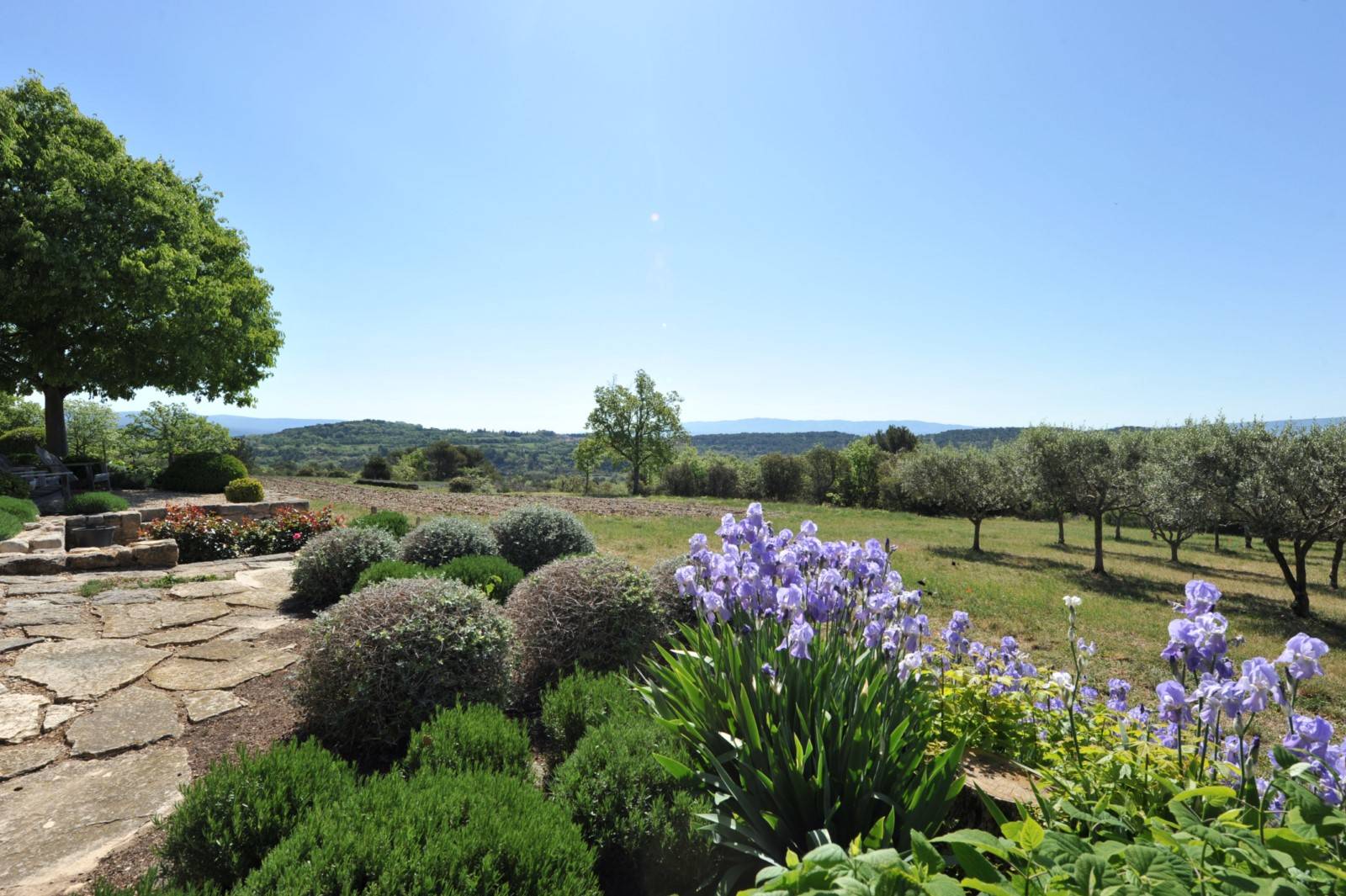 Location au cœur du Luberon, authentique Mas Provençal entouré de lavandes et oliviers    