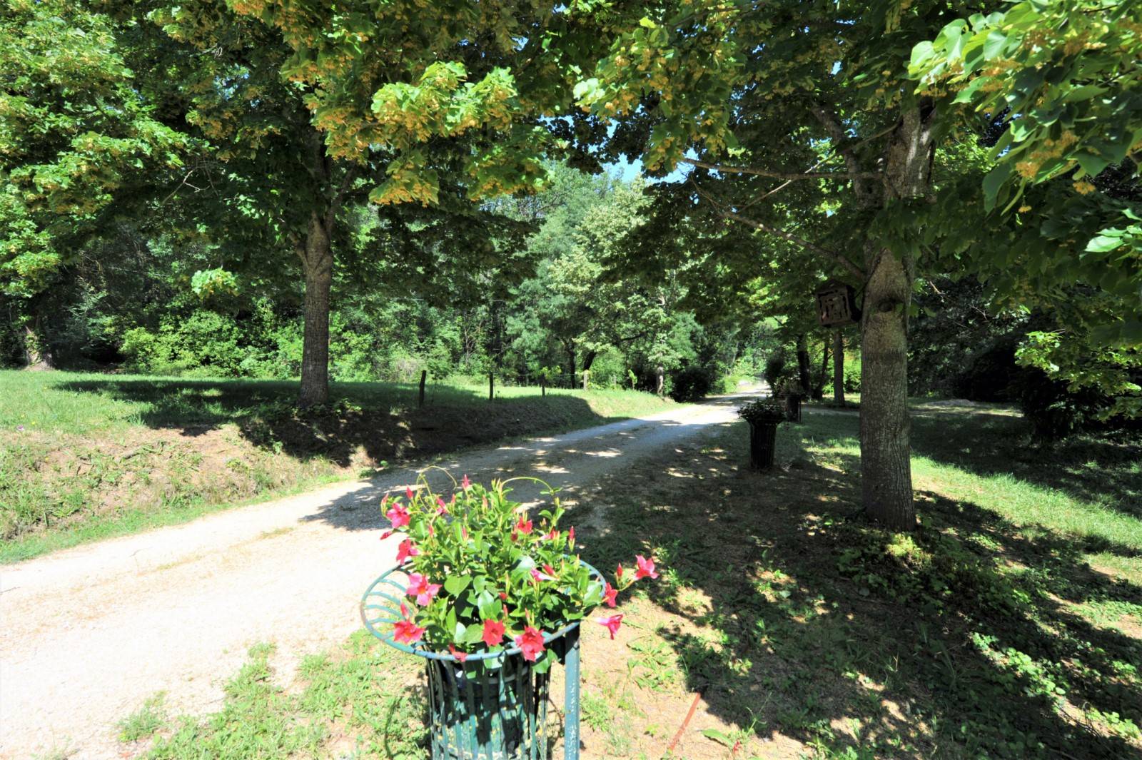 Location Mas traditionnel Provençal avec parc de 11 hectares, piscine et pool house    