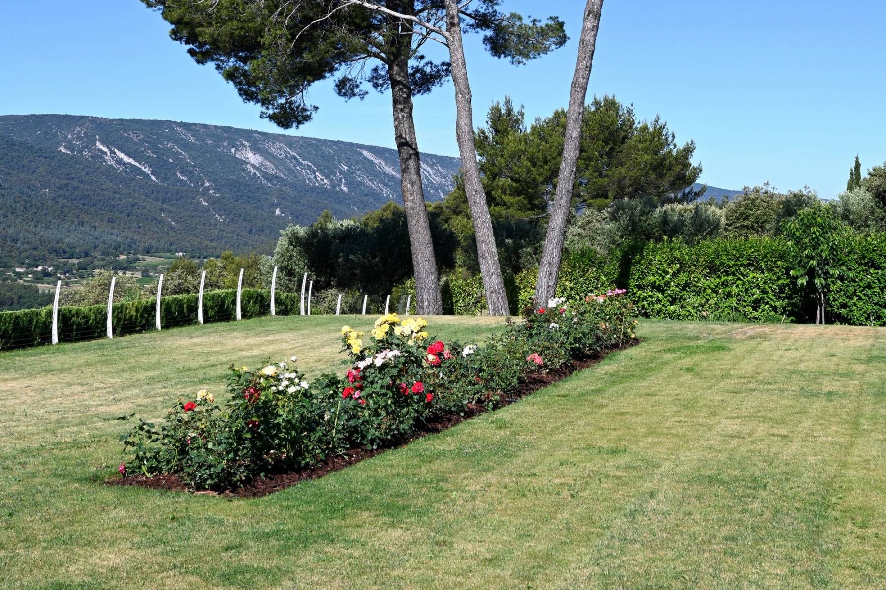 Location Ménerbes : propriété contemporaine en position dominante face au Luberon   