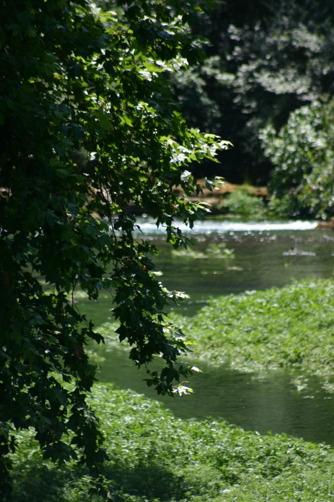 Vue sur la Sorgue