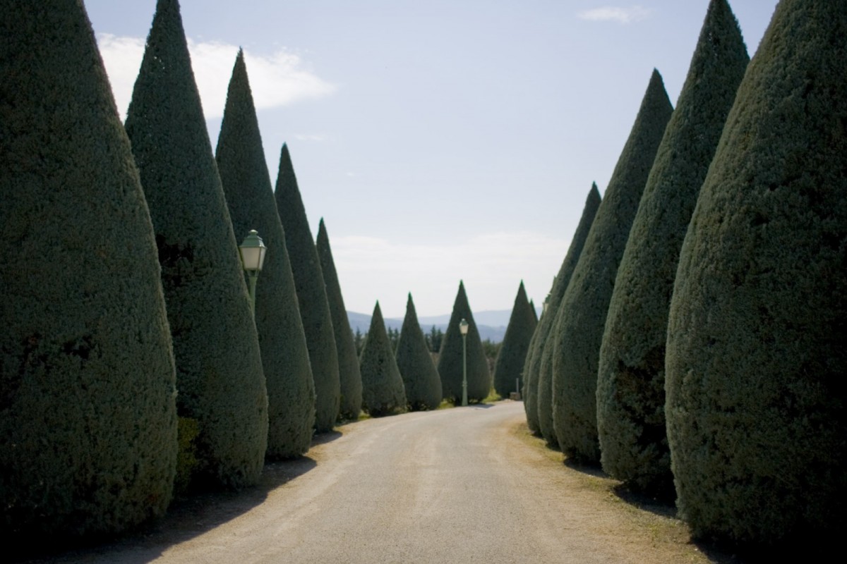 Close to Gordes a very pleasant environment