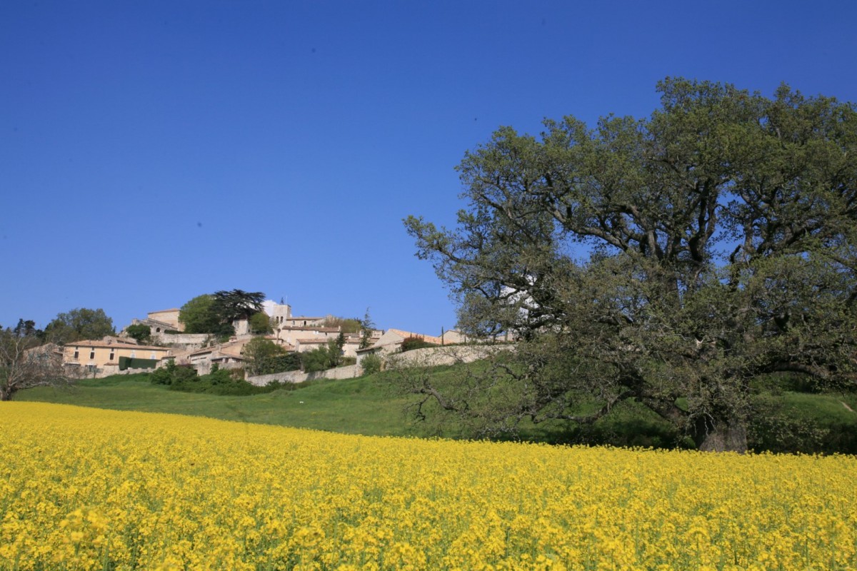 Le village de Murs 84220