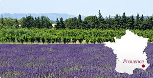 Que faire et voir en LUBERON et en PROVENCE?