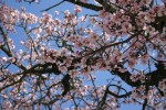 Lors de vos locations saisonnières en Provence, visitez le PARC NATUREL DU LUBERON