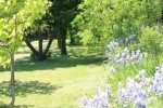 Lors de vos locations saisonnières en Provence, visitez le PARC NATUREL DU LUBERON