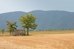Lors de vos locations saisonnières en Provence, visitez le PARC NATUREL DU LUBERON