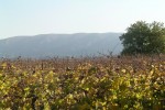 Le PARC DU LUBERON et sa charte de qualité