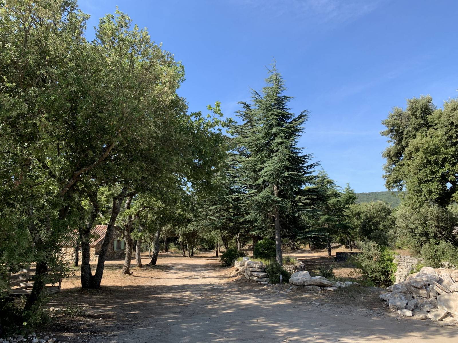 Location propriété de vacances dans un environnement très calme avec grande piscine Bonnieux   