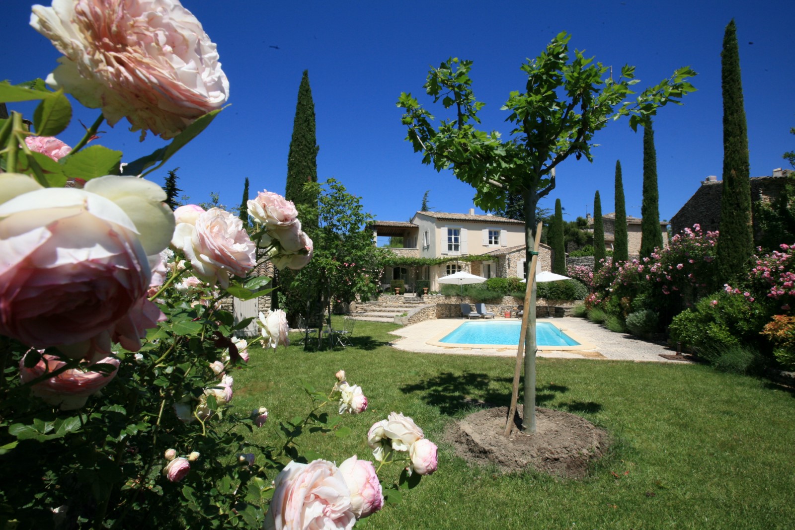 Maison à louer par l'agence ROSIER