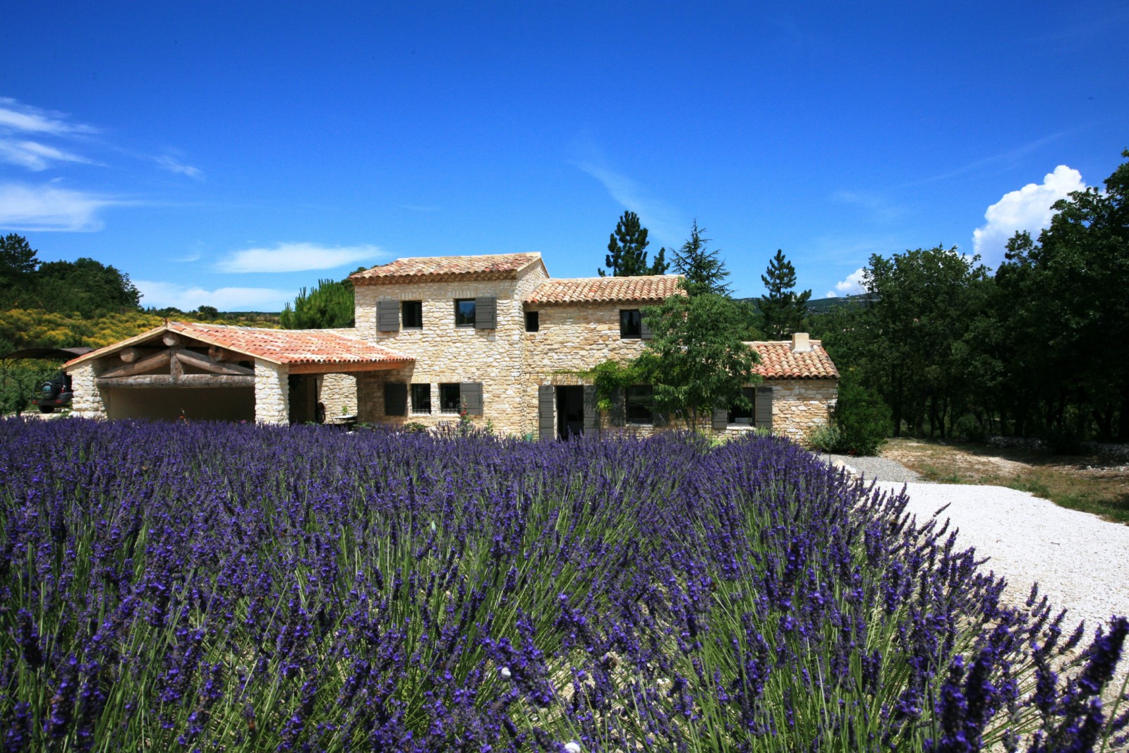 Lavande et autres essences Provençales