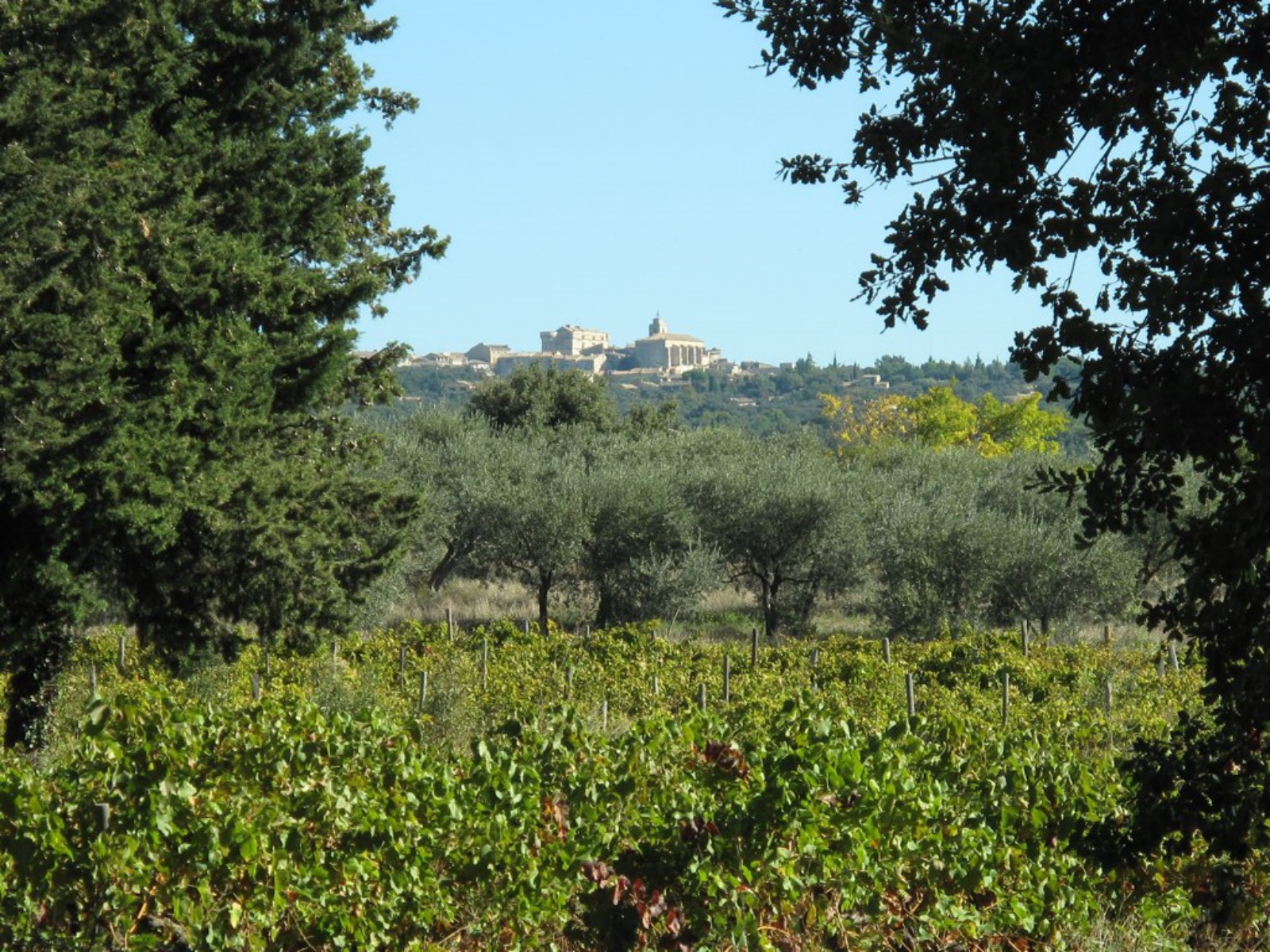 Location avec vue sur Gordes