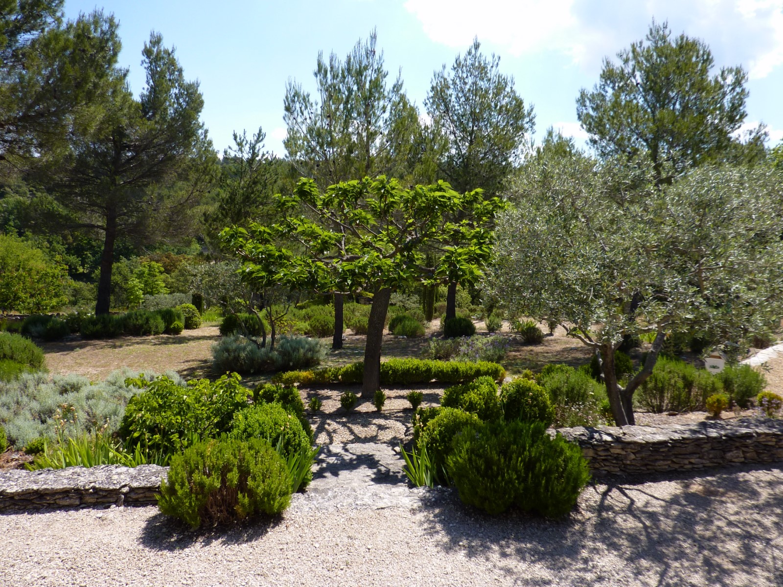 Location saisonnière en Luberon,   