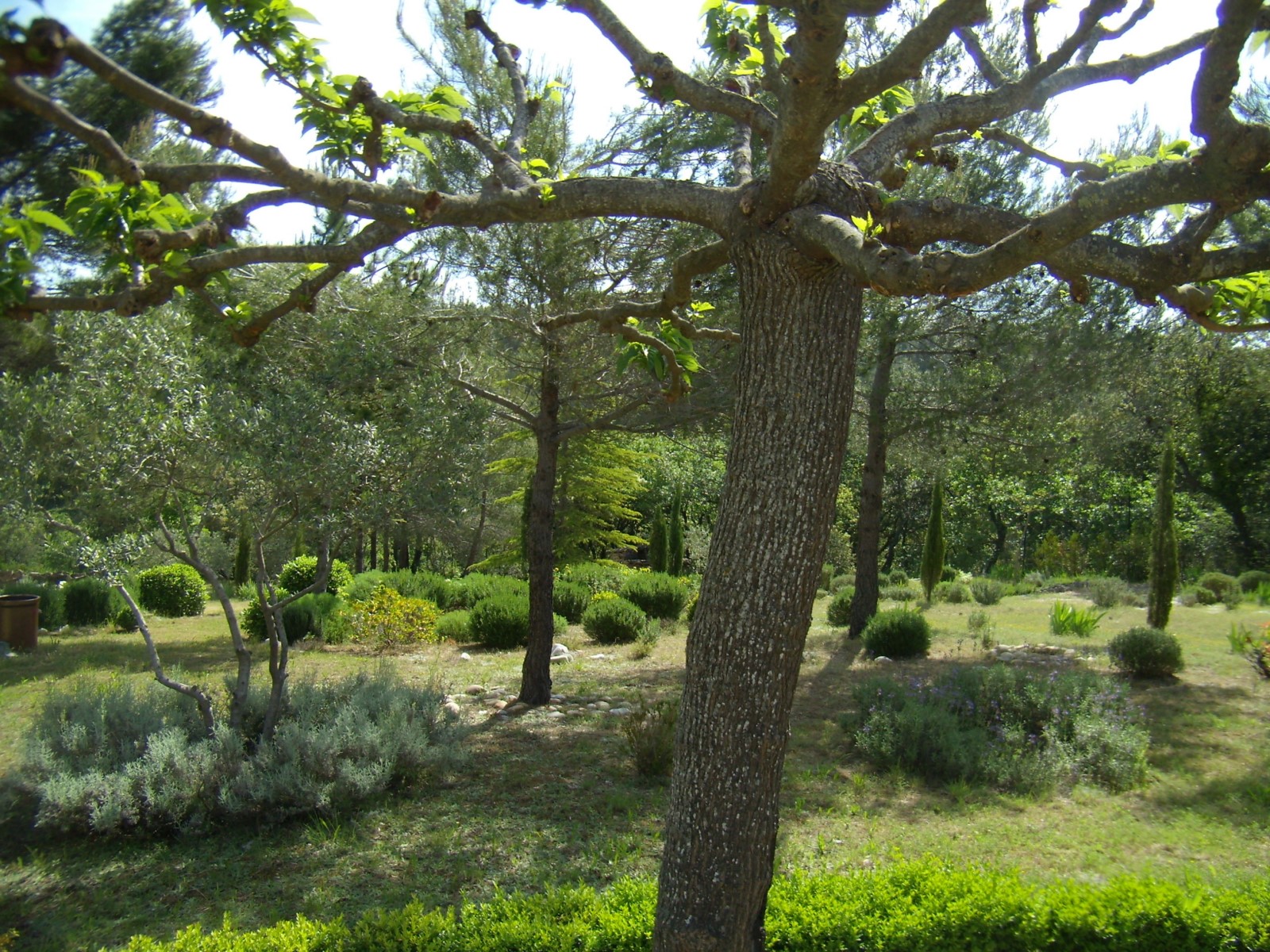 Location saisonnière en Luberon,   