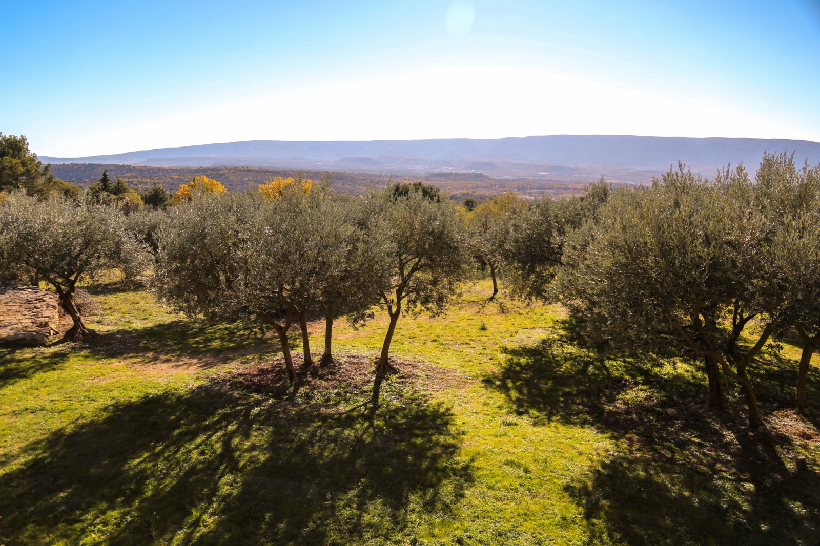A louer à Gordes,    propriété d'exception