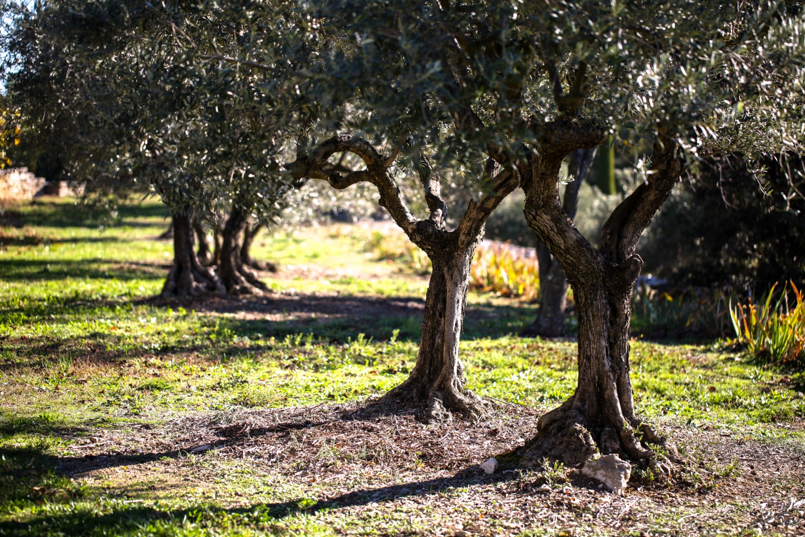 A louer à Gordes,    propriété d'exception