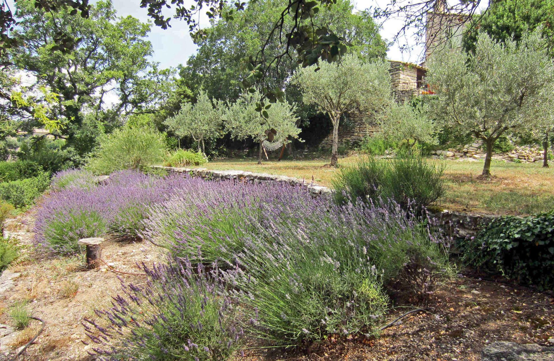 A louer à Gordes,  dans le village, confortable maison en pierres  
