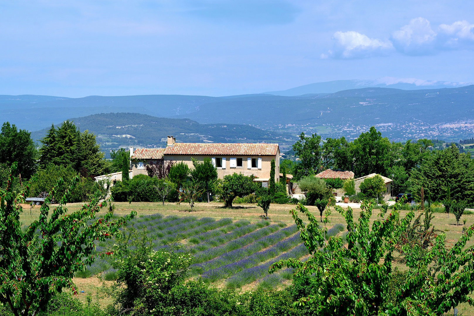 Location saisonnière en Luberon, bastide provençale avec piscine    
