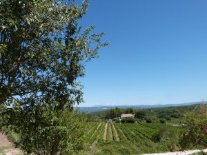 Nos prestations sur le secteur de Provence-Alpes-Côte d'Azur