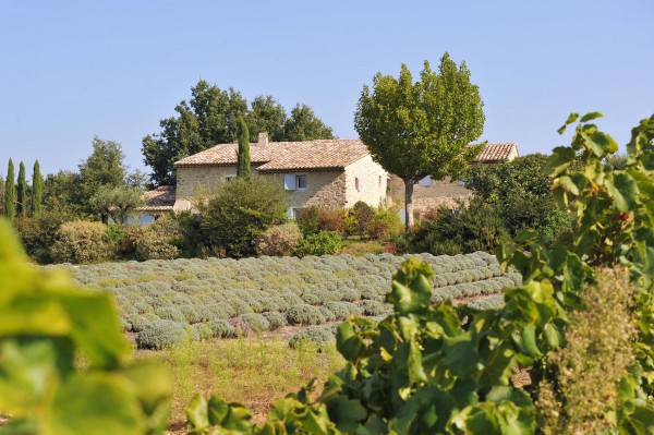 Nos prestations sur le secteur de Goult